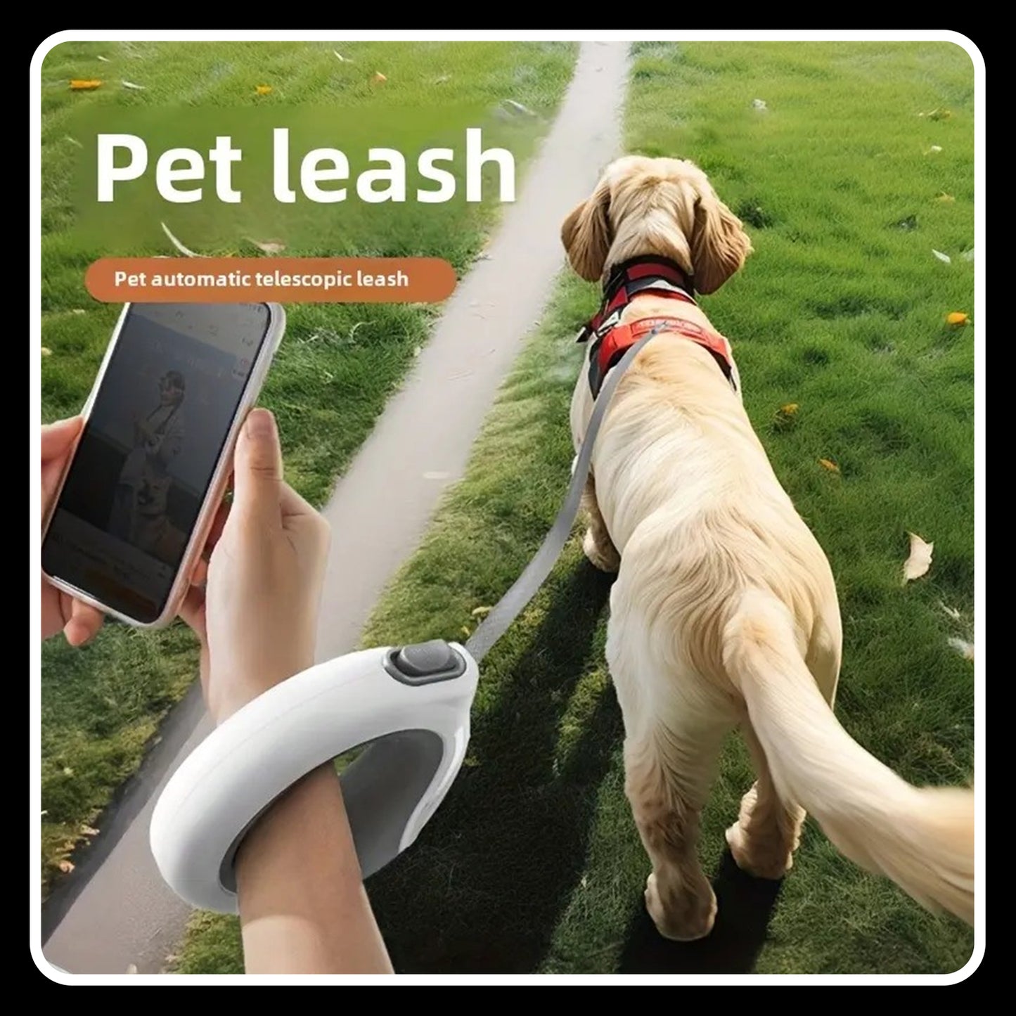 3M Retractable Dog Leash – Durable Nylon Rope Lead for Small & Medium Dogs & Cats