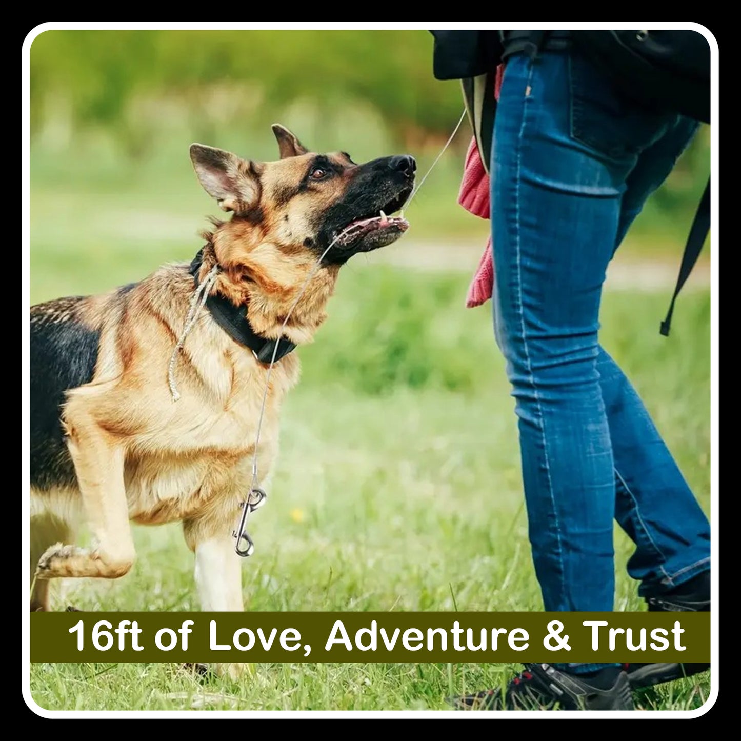16.5ft Retractable Dog Leash – Stylish Paw Print Design | Tangle-Free & Durable | Easy Lock & Release
