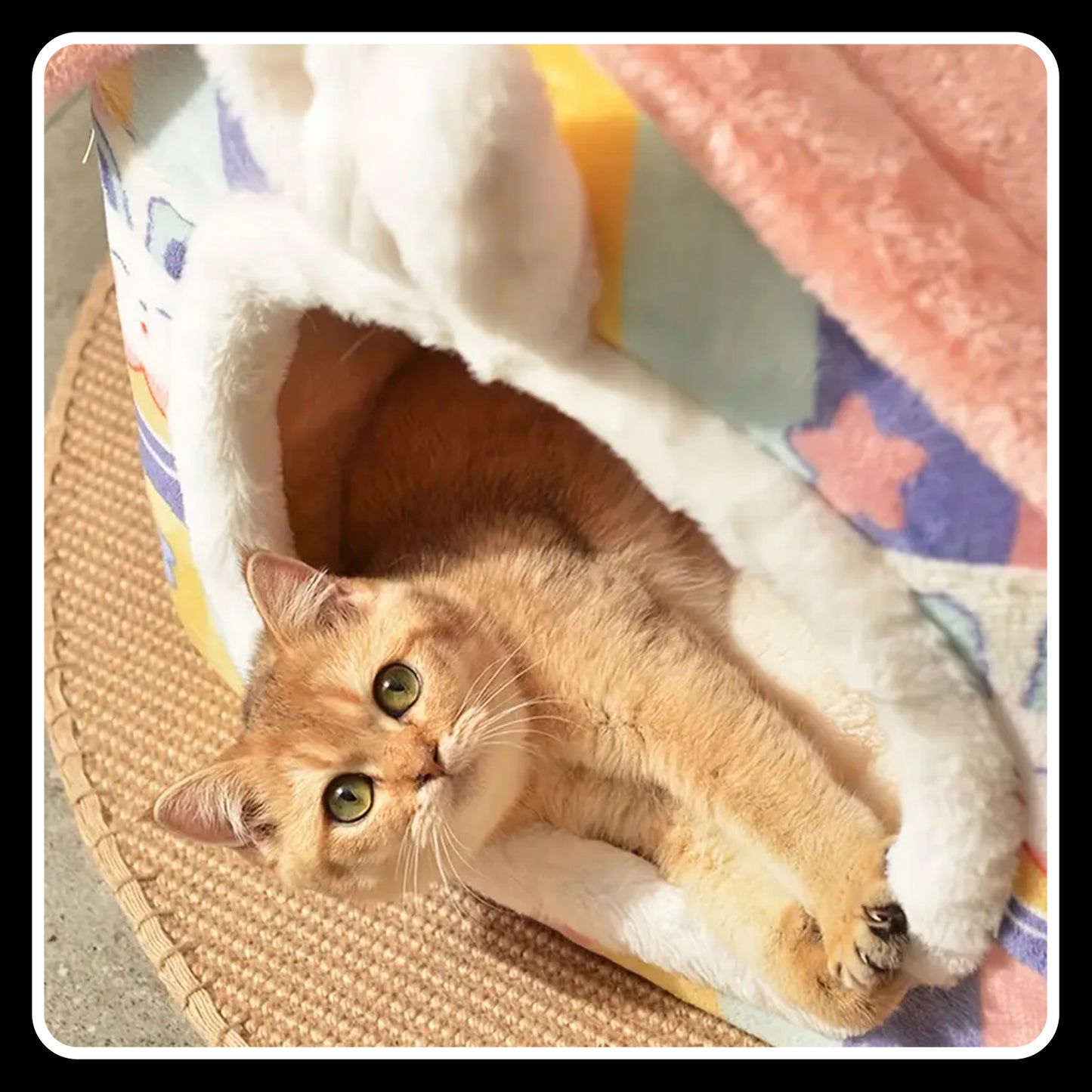 Cozy Rabbit-Shaped Foldable Pet Bed – Soft Polyester Winter Warm Cave Kennel Mat for Puppies, Cats & Small Dogs - Medium