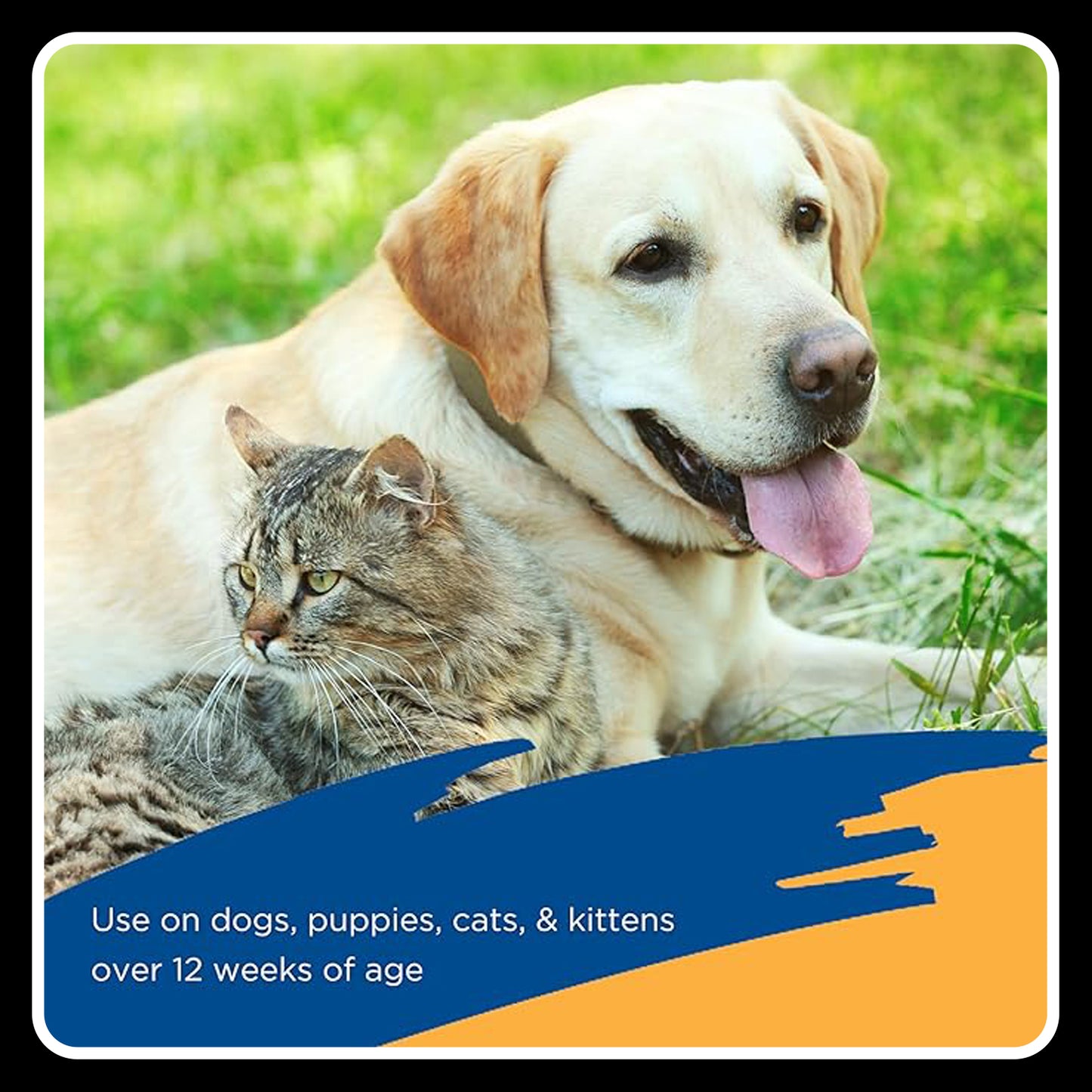 Zodiac Flea & Tick Spray for Dogs, Cats, Puppies & Kittens – 16 fl oz