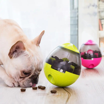 Pet's Intelligence with Pets IQ Treat Toys Feeder