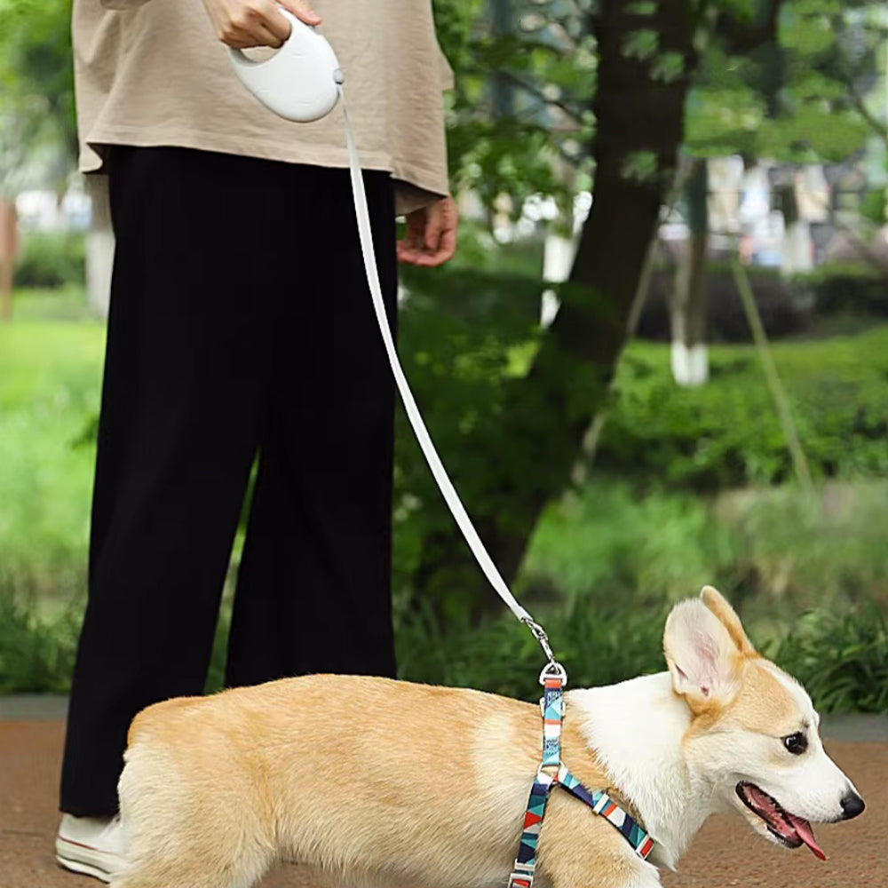 Kimpets Retractable Dog Leash with Light – Adjustable, Tangle-Free, and Durable