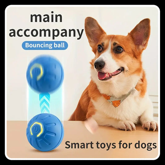 Durable Electric Smart Pet Toy for Dogs – USB Rechargeable, Bite & Fall Resistant