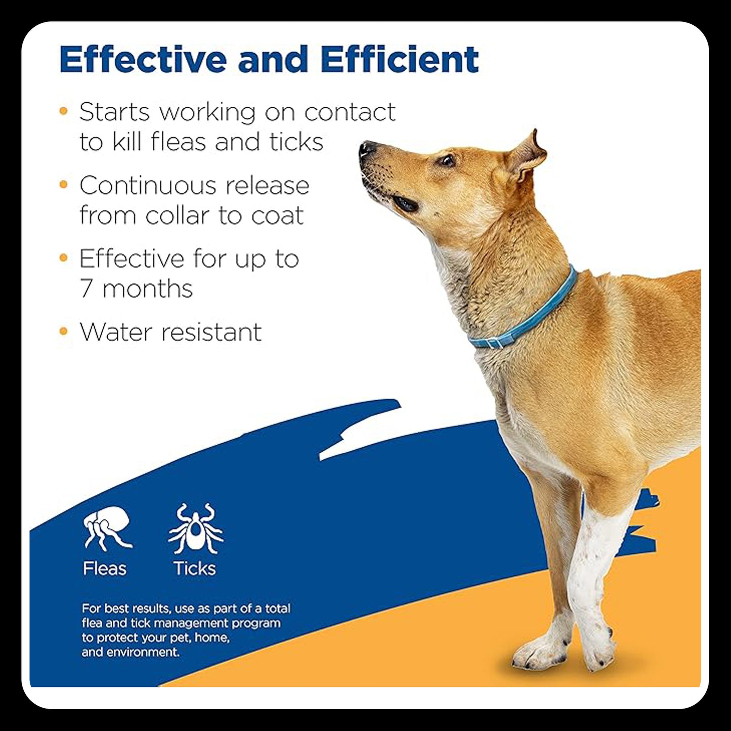 Zodiac Flea & Tick Collar for Large Dogs