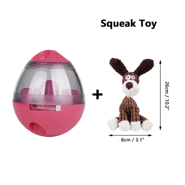 Pet's Intelligence with Pets IQ Treat Toys Feeder