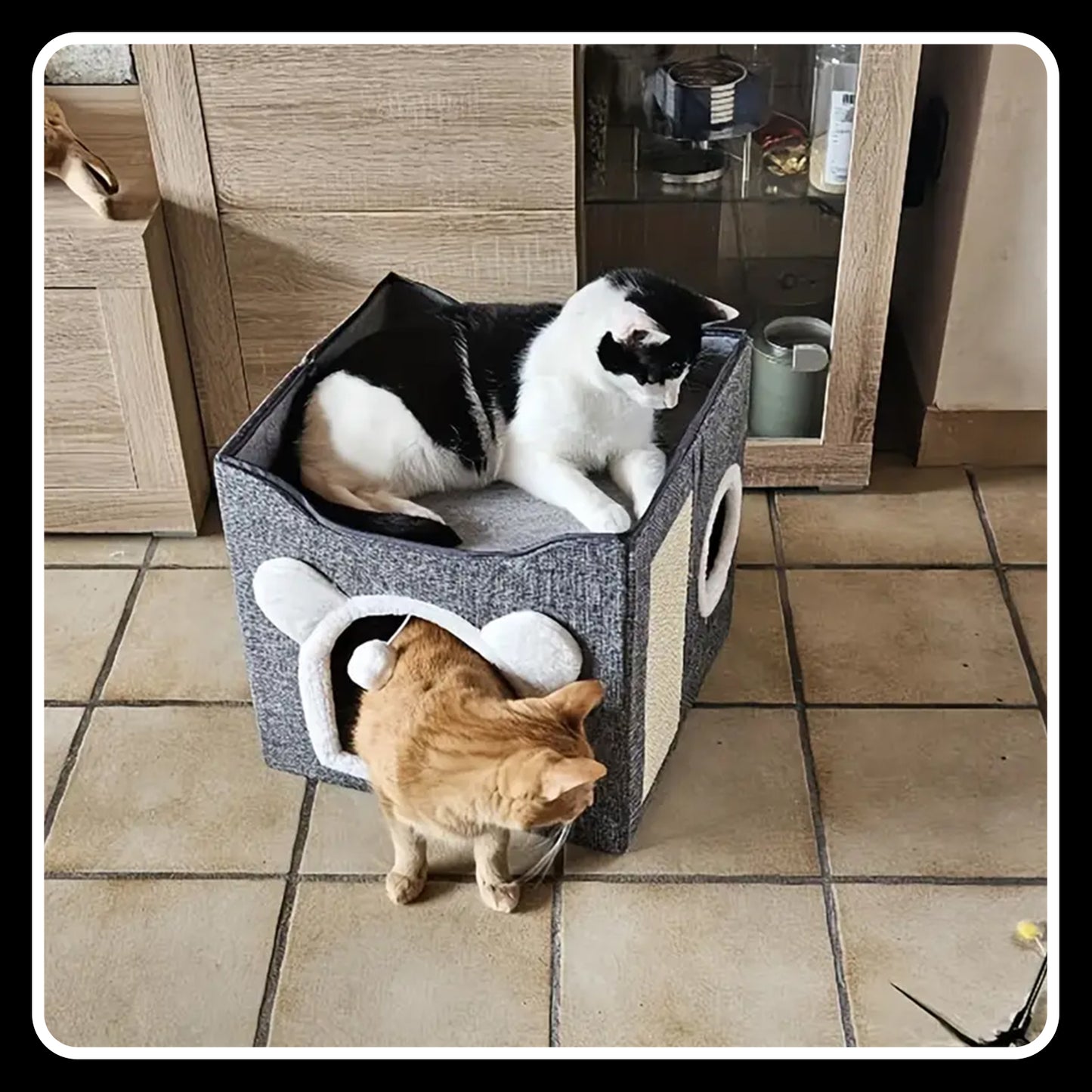 Double-Layer Cat Bed – Foldable -Sisal Scratching Board, Soft Cushion – House & Cave for Indoor Cats and Small Dogs (Grey)