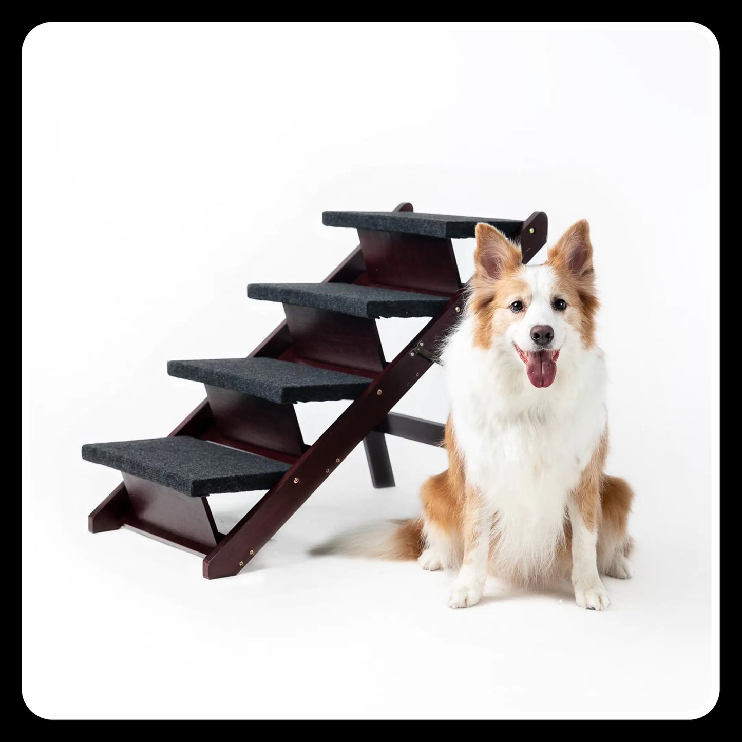 Wooden Dog Stairs & Ramp - Foldable 4-Level Pet Stairs, Perfect for Beds and Cars