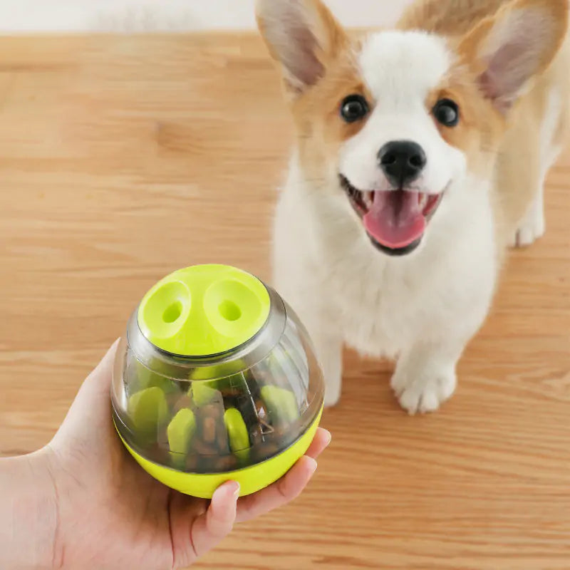 Pet's Intelligence with Pets IQ Treat Toys Feeder