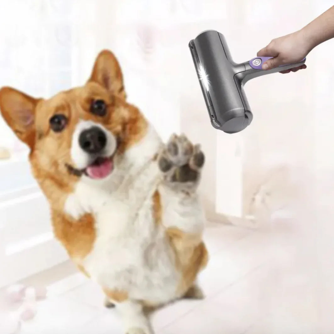 Reusable Pet Hair Removal Roller