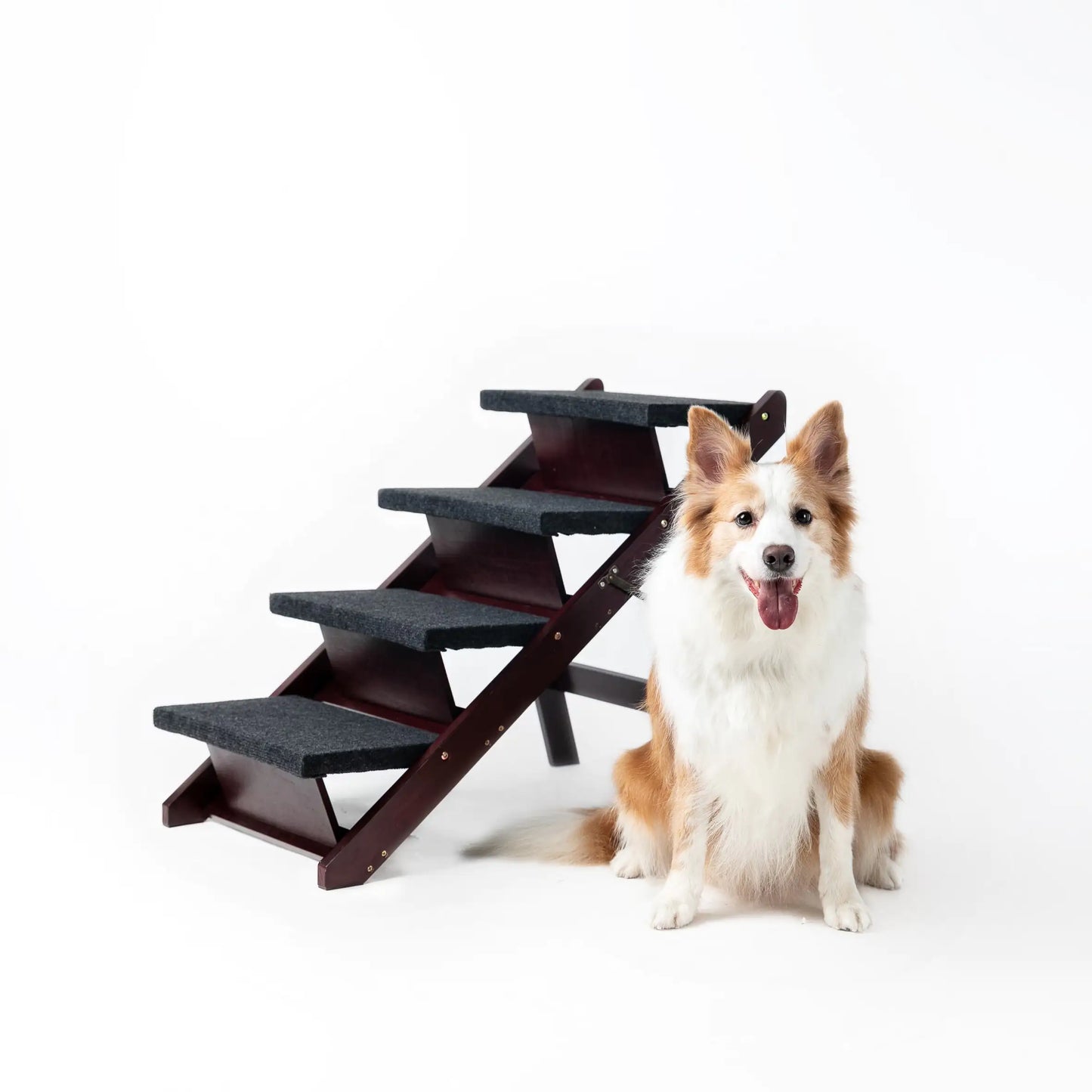 Wooden Dog Stairs & Ramp - Foldable 4-Level Pet Stairs, Perfect for Beds and Cars